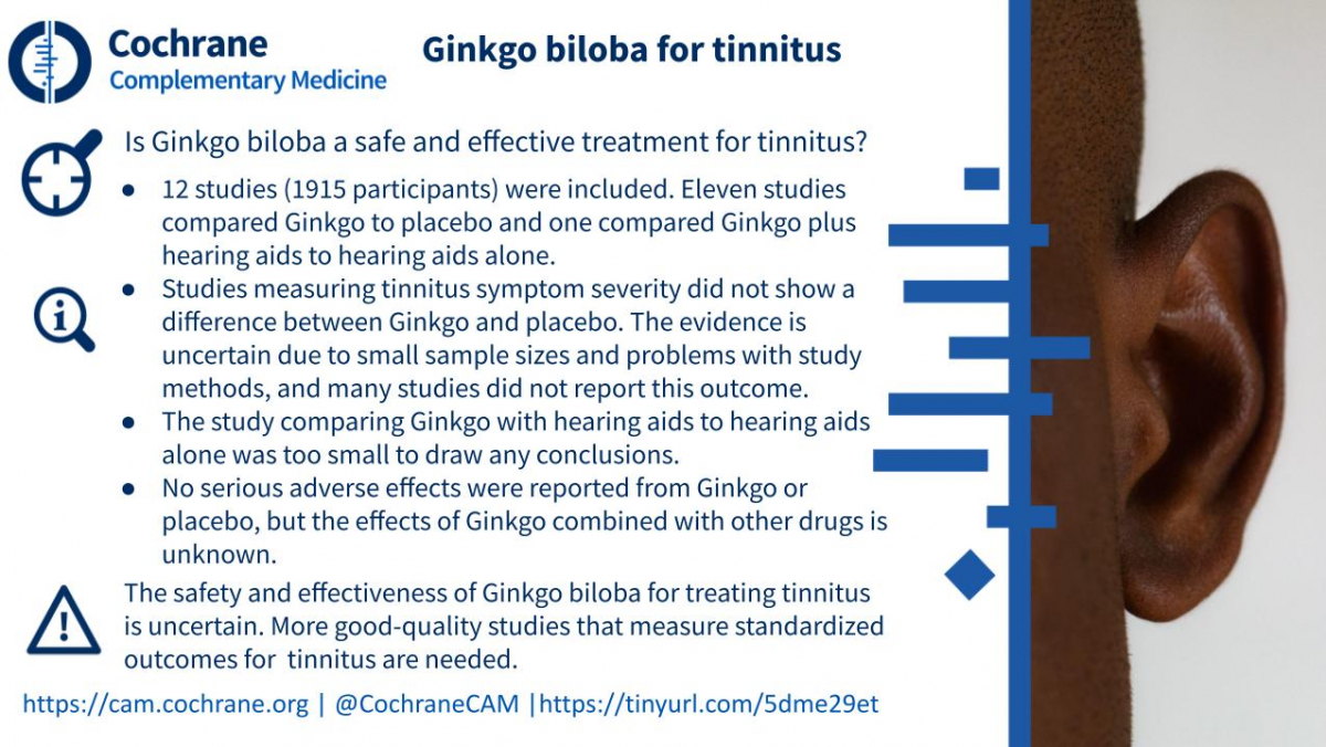 Blogshot Ginkgo Tinnitus