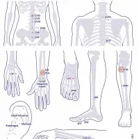 Figure showing acupuncture acupoints