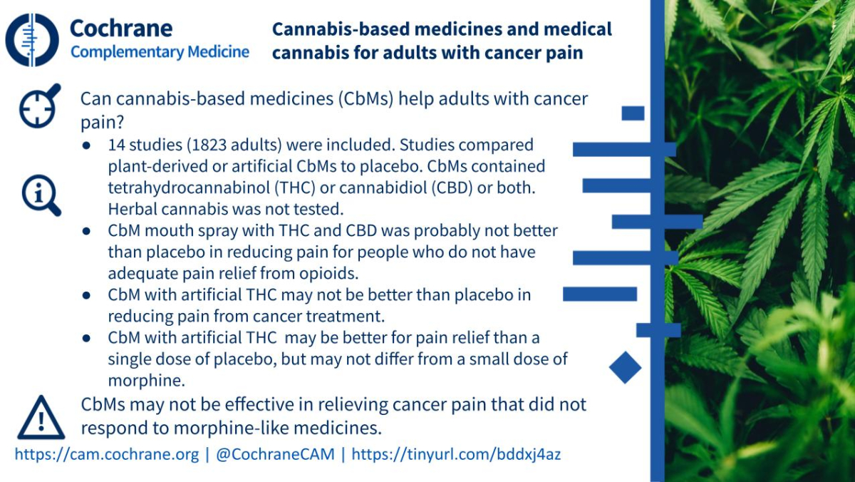 Blogshot Cannabis Cancer