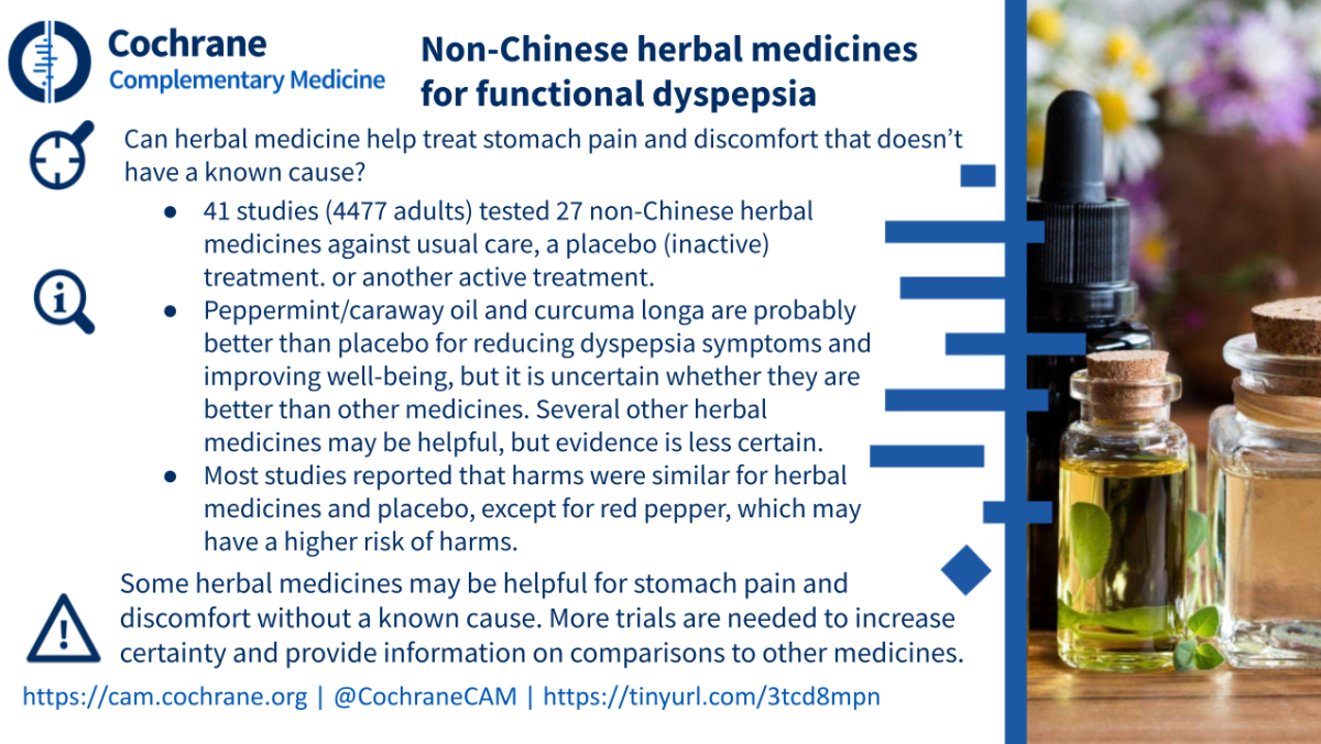 Blogshot Herbal Medicine Dyspepsi