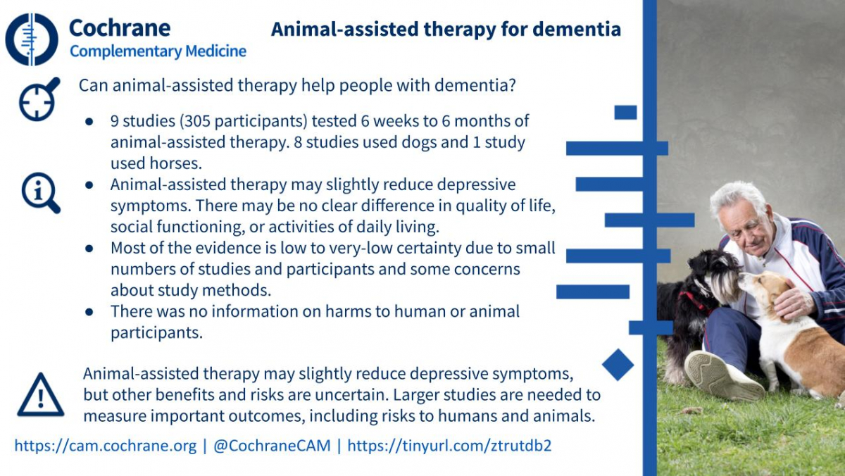 Blogshot Animal Therapy Dementia