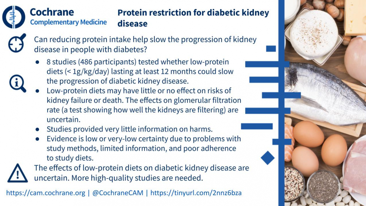 Blogshot Protein Restriction Kidney Disease