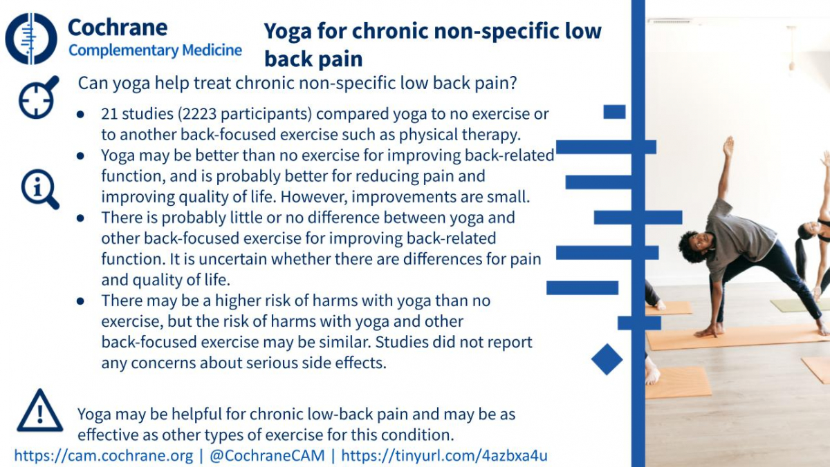 Blogshot Yoga Low Back Pain