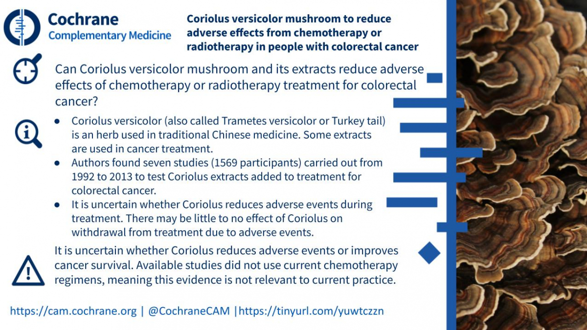 Blogshot Mushrooms Colorectal Cancer