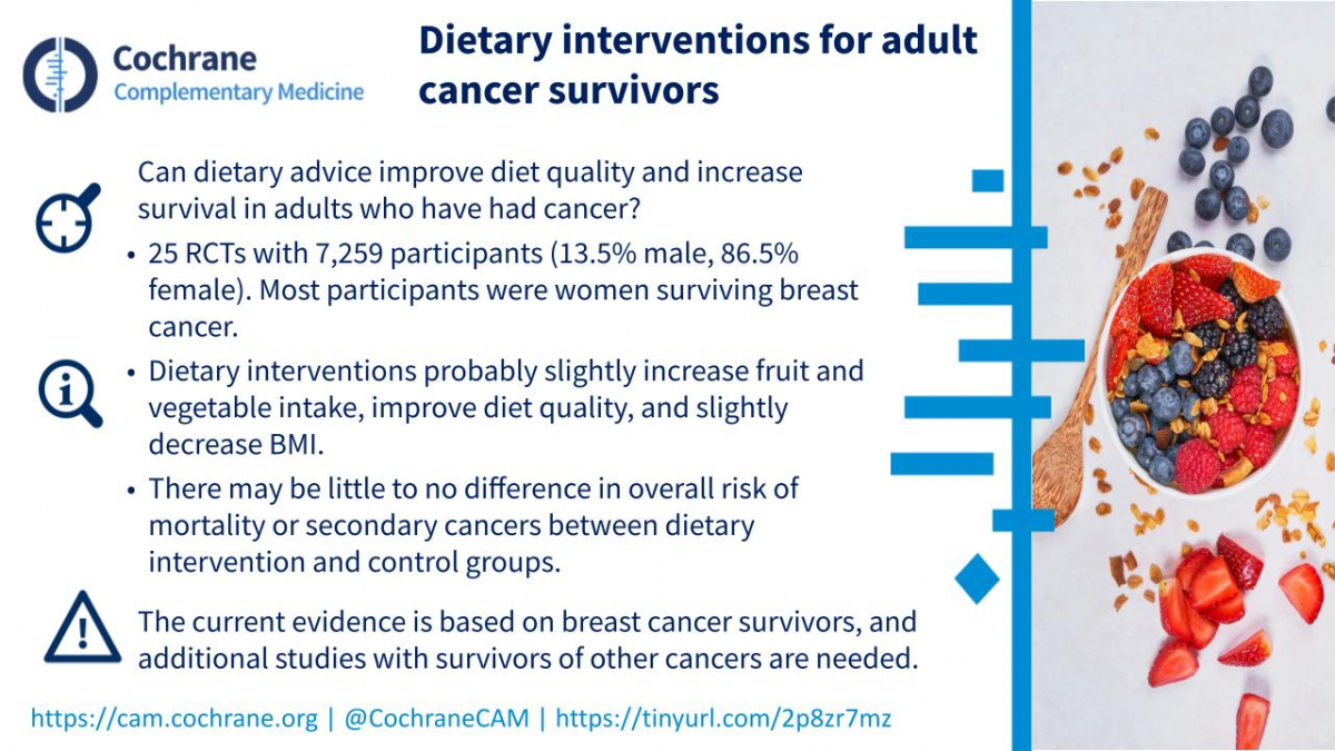 Blogshot Dietary interventions cancer