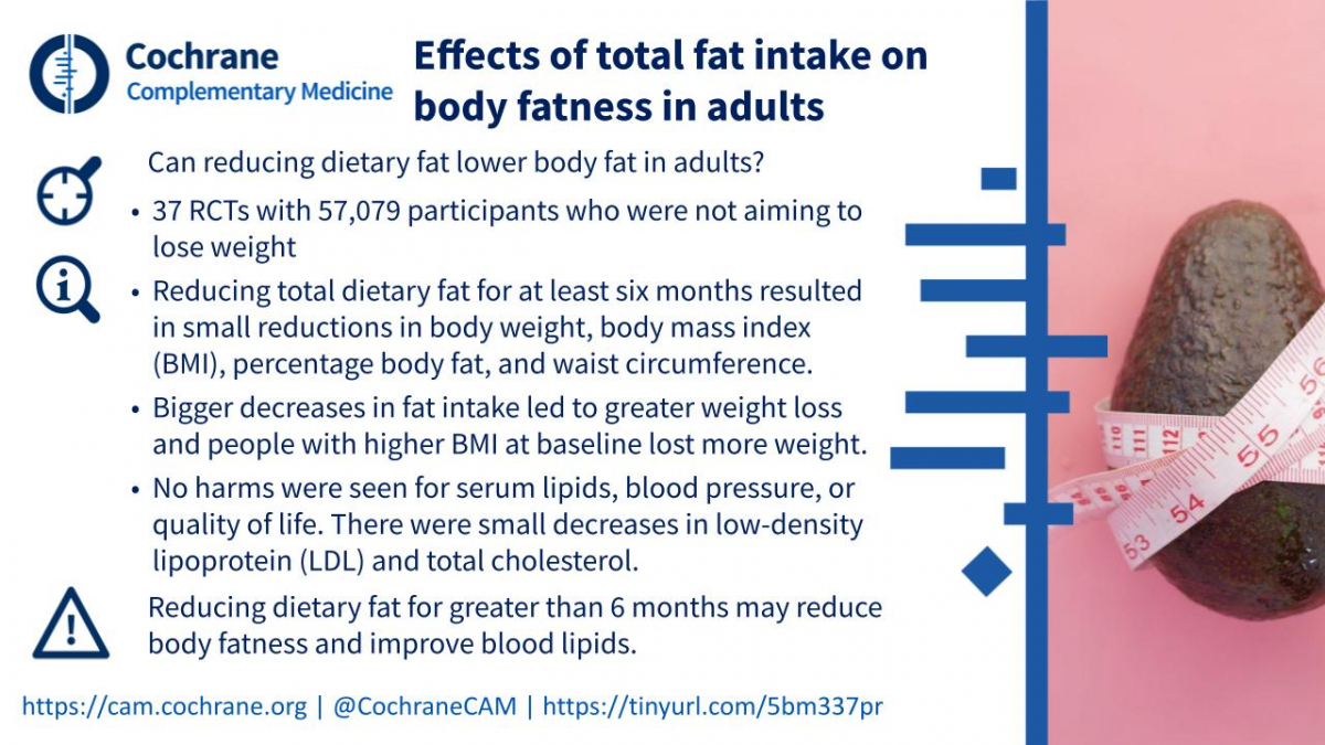 Blogshot on effects of total fat intake on body fatness in adults