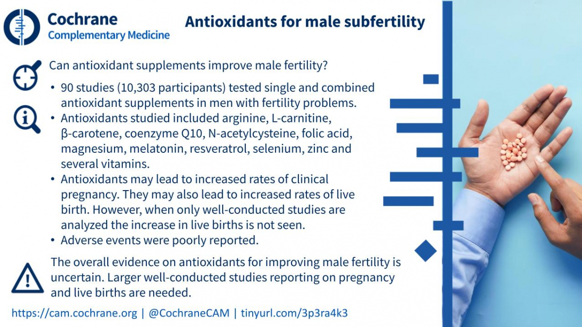 Blogshot Antioxidants Male Subfertility