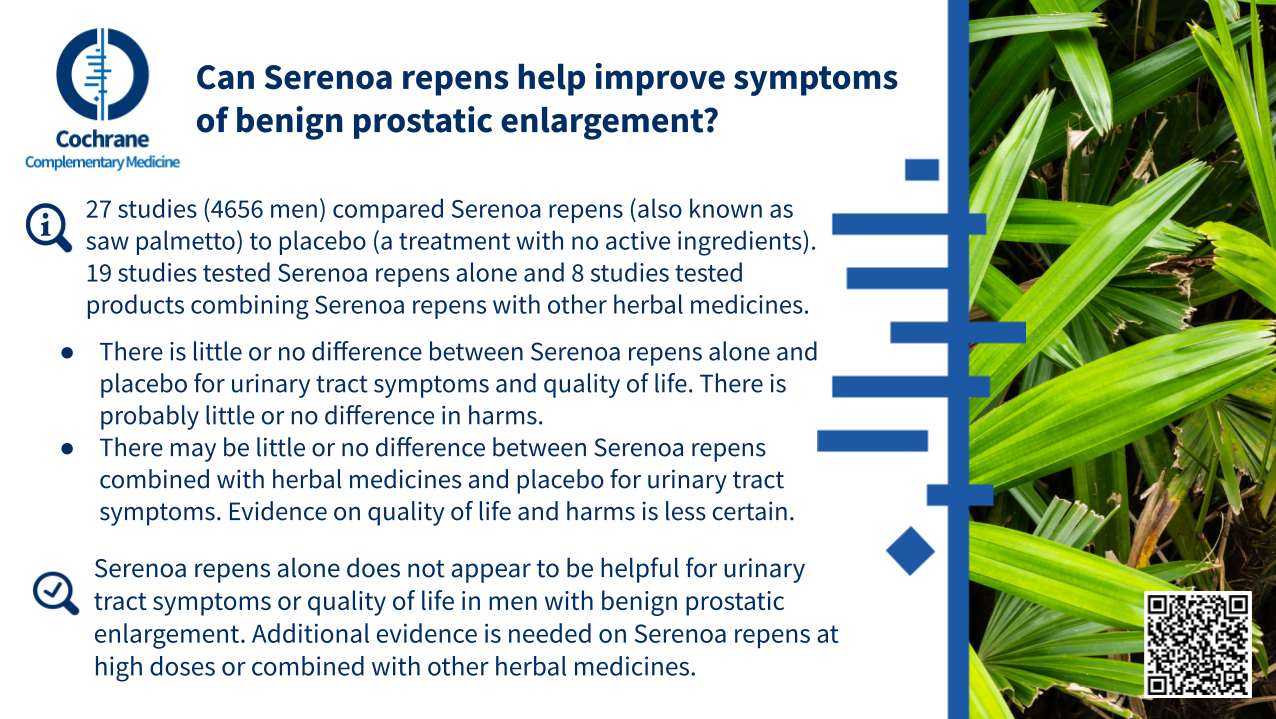 Blogshot Serenoa Repens Benign Prostatic Enlargement